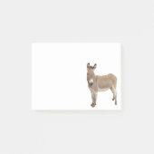 Schattigee ezel burro foto post-it® notes (Voorkant)