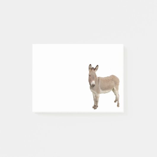 Schattigee ezel burro foto post-it® notes (Voorkant)