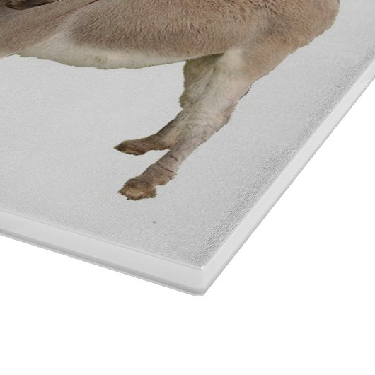 Schattigee ezel burro foto snijplank (Hoek)