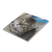 Schattigee familie kat foto tegeltje (Zijkant)