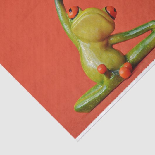 Schattigee Fanny Frog Tissuepapier (Detail)