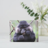 Schattigee fauna briefkaart (Staand voorkant)