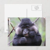 Schattigee fauna briefkaart (Voorkant / Achterkant)