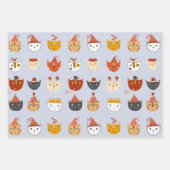 Schattigee feestkat inpakpapier vel (Voorkant)