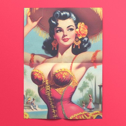 Schattigee Flamenco Pin-up Tissuepapier
