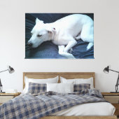 Schattigee foto van mooie slapende witte hond canvas afdruk (Insitu (Slaapkamer))