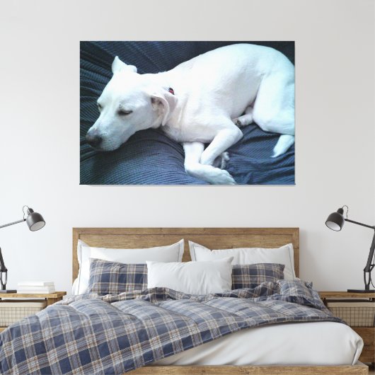 Schattigee foto van mooie slapende witte hond canvas afdruk (Insitu (Slaapkamer))