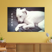 Schattigee foto van Peaceful White Puppy Dog Sleep Canvas Afdruk (Insitu (Woonkamer))