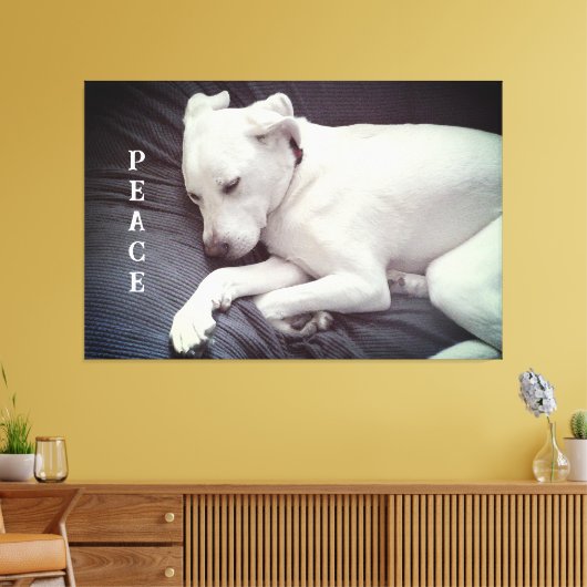 Schattigee foto van Peaceful White Puppy Dog Sleep Canvas Afdruk (Insitu (Woonkamer))