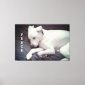 Schattigee foto van Peaceful White Puppy Dog Sleep Canvas Afdruk (Voorkant)