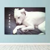 Schattigee foto van Peaceful White Puppy Dog Sleep Canvas Afdruk (Insitu (Houten vloer))