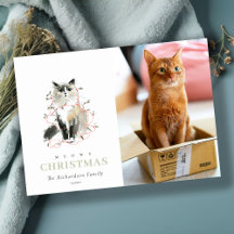 Schattigee Foto Waterverf Meowy Christmas Lights C