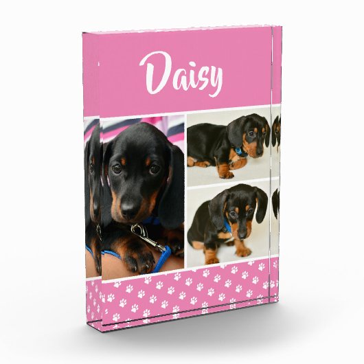 Schattigee Fotocollage Pet Dog Naam Fotoblokken (Links)