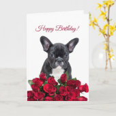Schattigee Franse Bulldog Happy Birthday Red Roses Kaart (Gele Bloem)
