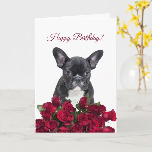 Schattigee Franse Bulldog Happy Birthday Red Roses Kaart (Gele Bloem)