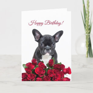 Schattigee Franse Bulldog Happy Birthday Red Roses Kaart