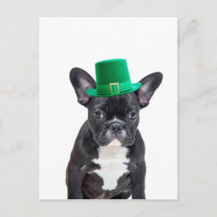 Schattigee Franse Bulldog met Pet St. Patrick's Da Briefkaart