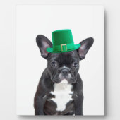 Schattigee Franse Bulldog met Pet St. Patrick's Da Fotoplaat (Voorkant)