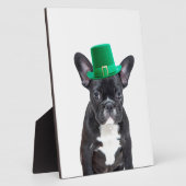 Schattigee Franse Bulldog met Pet St. Patrick's Da Fotoplaat (Zijkant)