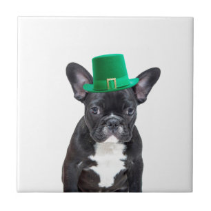 Schattigee Franse Bulldog met Pet St. Patrick's Da Tegeltje
