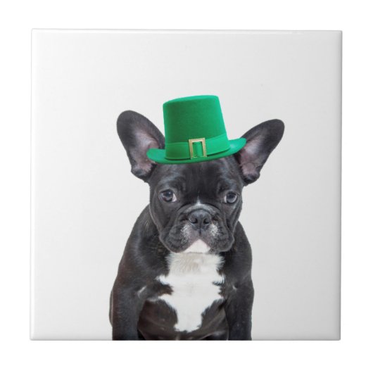 Schattigee Franse Bulldog met Pet St. Patrick's Da Tegeltje (Voorkant)