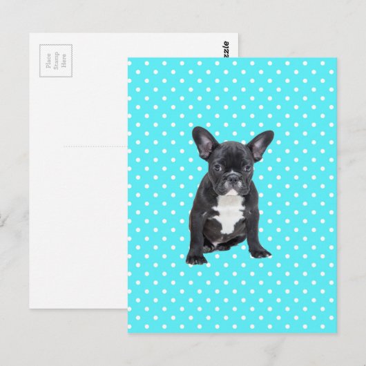 Schattigee Franse Bulldog Puppy Blauwe Polka Dots Briefkaart (Voorkant / Achterkant)