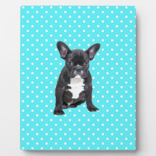 Schattigee Franse Bulldog Puppy Blauwe Polka Dots Fotoplaat
