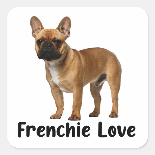 Schattigee Franse Bulldog Puppy Dog Frenchie Love Vierkante Sticker (Voorkant)
