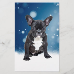 Schattigee Franse Bulldog Snow Stars Blue Christma Briefpapier