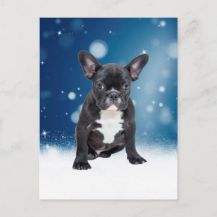 Schattigee Franse Bulldog Snow Stars Blue Christma Feestdagenkaart
