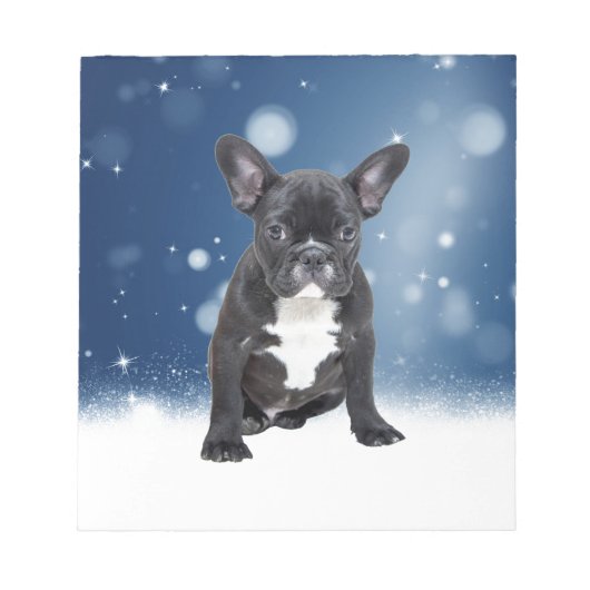 Schattigee Franse Bulldog Snow Stars Blue Christma Notitieblok (Voorkant)