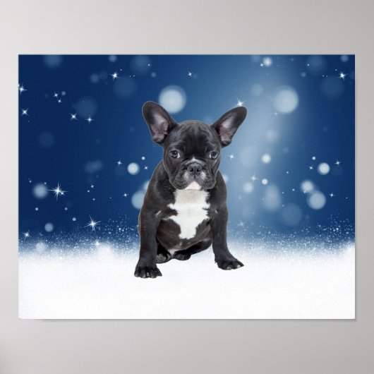 Schattigee Franse Bulldog Snow Stars Blue Christma Poster (Voorkant)