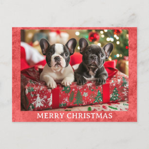 Schattigee Franse Bulldog Vrolijk Kerstfeest Briefkaart