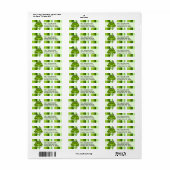 Schattigee Frog Green Stripe Retouradreslabels Etiket (Full Sheet)