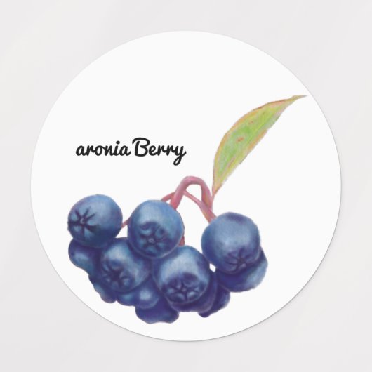 Schattigee Fruit Stickers Fun Design School Labels (Design 1)