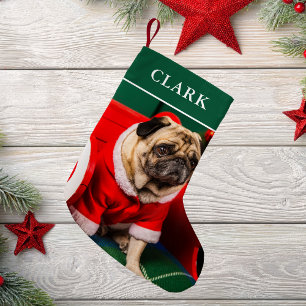 Schattigee Funny Dog Puppy Pet Fotonaam Feestelijk Kleine Kerstsok