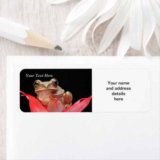 Schattigee, Funny Frog in Lily RAL Sjabloon Etiket (Insitu)