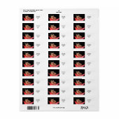 Schattigee, Funny Frog in Lily RAL Sjabloon Etiket (Full Sheet)