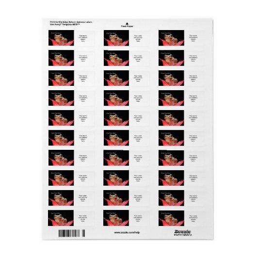 Schattigee, Funny Frog in Lily RAL Sjabloon Etiket (Full Sheet)