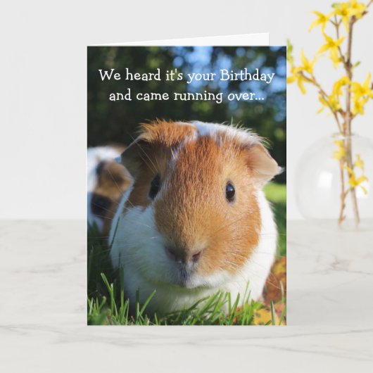 Schattigee Funny Guinea Pig Verjaardag Kaart (Gele Bloem)