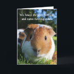 Schattigee Funny Guinea Pig Verjaardag Kaart<br><div class="desc">Een foto van een schattige cavia die geniet van een zonnige dag op het gras. Personaliseer deze kaart voor een cavy liefhebber!</div>