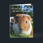 Schattigee Funny Guinea Pig Verjaardag Kaart<br><div class="desc">Een foto van een schattige cavia die geniet van een zonnige dag op het gras. Personaliseer deze kaart voor een cavy liefhebber!</div>