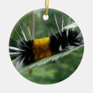 Schattigee fuzzy rups keramisch ornament