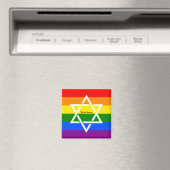 Schattigee Gay Regenboog Vlag Joodse Star of David Magneet (Insitu (Vaatwasser))