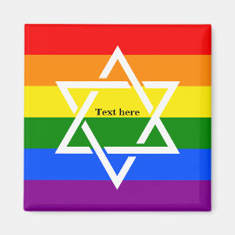 Schattigee Gay Regenboog Vlag Joodse Star of David Magneet