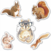 Schattigee geassorteerde eekhoorn Sticker pack (Voorkant)