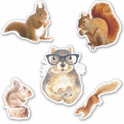 Schattigee geassorteerde eekhoorn Sticker pack (Voorkant)