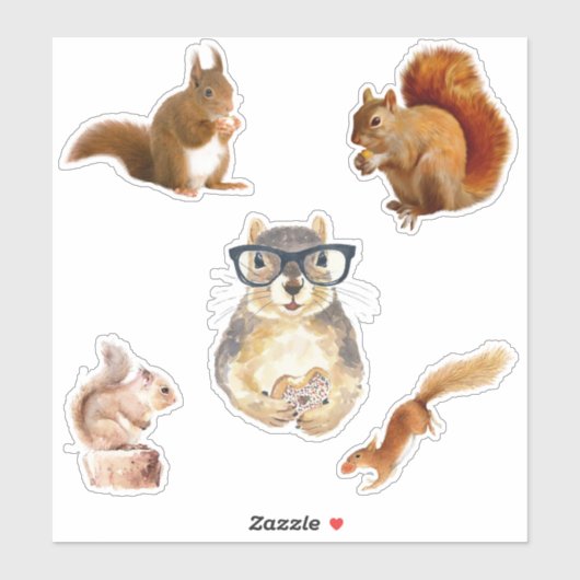 Schattigee geassorteerde eekhoorn Sticker pack (Vel)