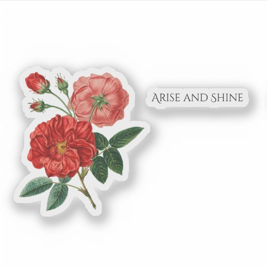 Schattigee gedurfde  bloemen ontstaan en glanzen c sticker (Voorkant)