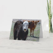 Schattigee Gefeliciteerd Vet Afstuderen - Ranch Bo Kaart (Voorkant)